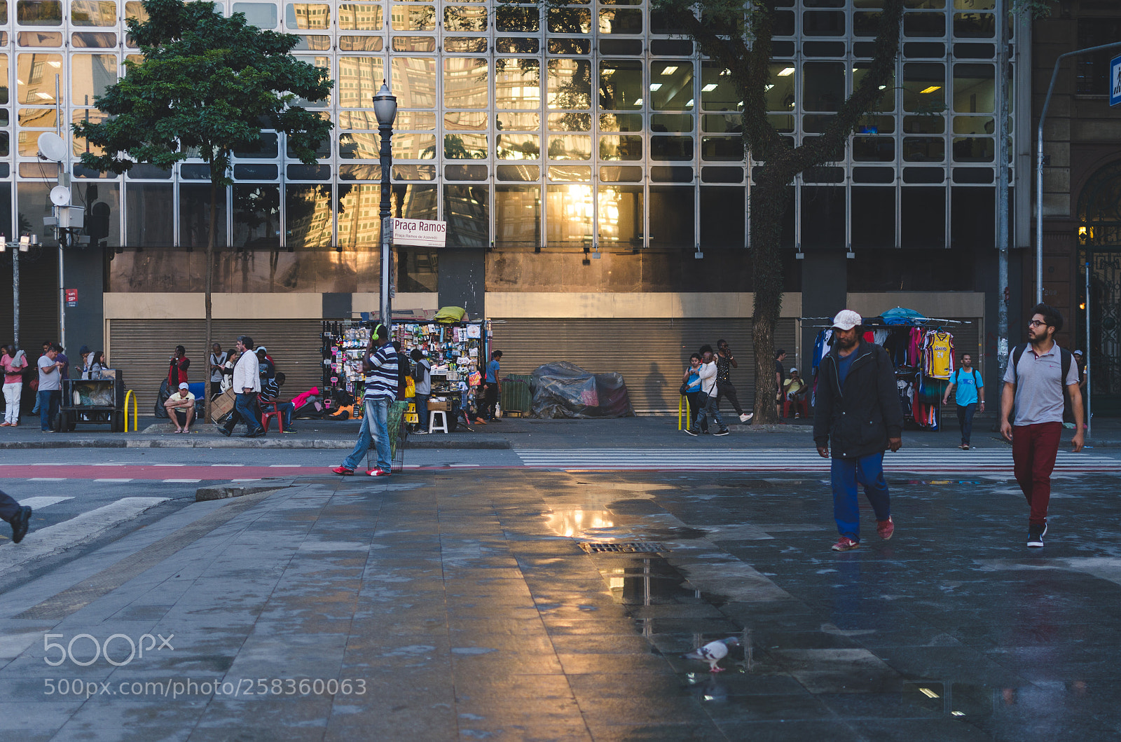 Nikon D5100 sample photo. Centro photography