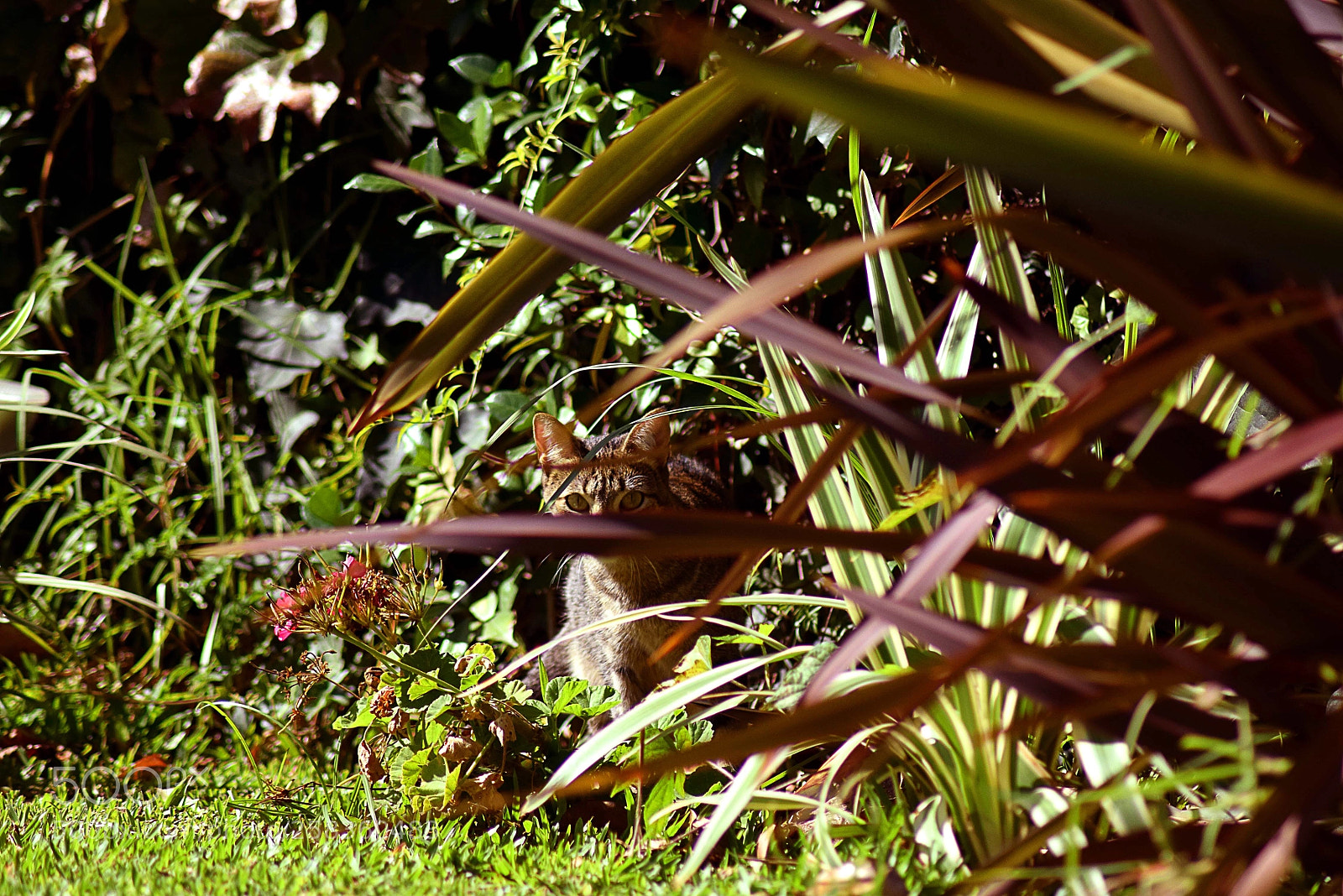 Nikon D3300 sample photo. Untitled photography