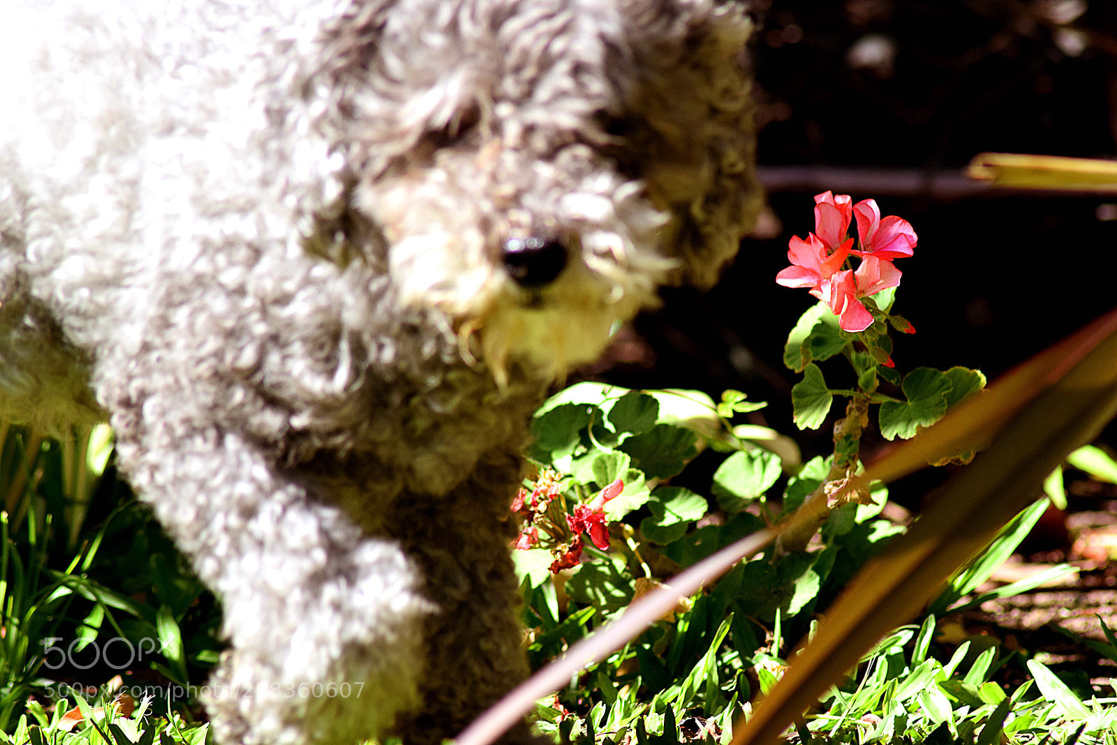 Nikon D3300 sample photo. Untitled photography
