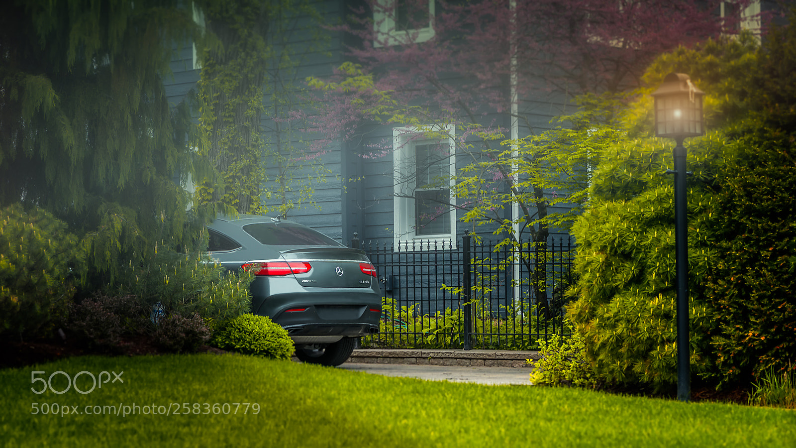 Nikon D610 sample photo. Hide and seek photography