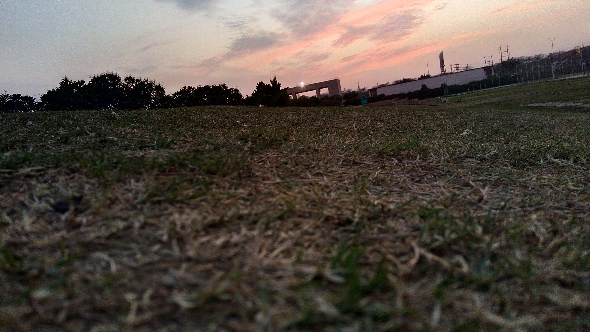 Lenovo VIBE X3 LITE sample photo. ������������������������������� photography