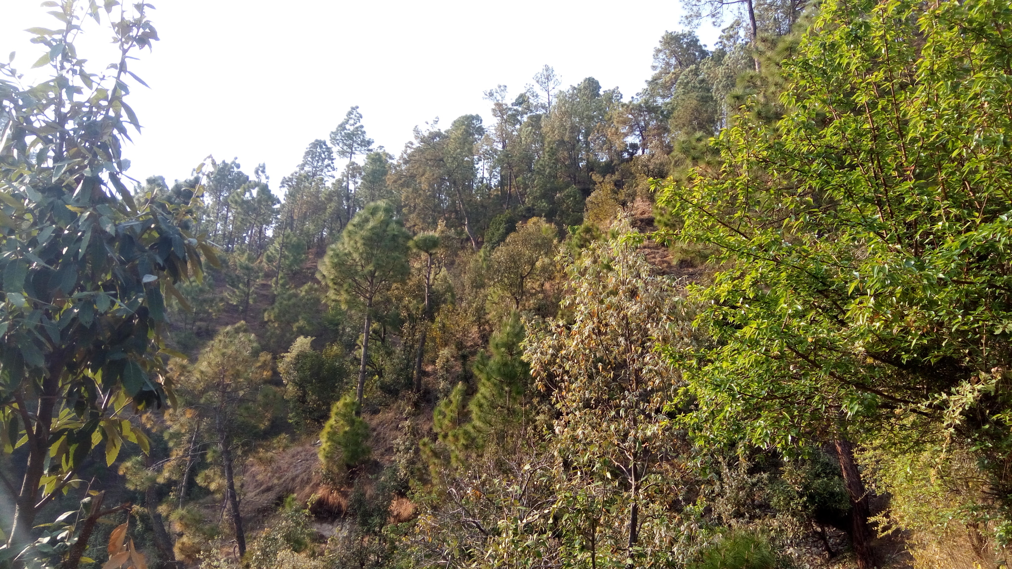 Lenovo VIBE X3 LITE sample photo