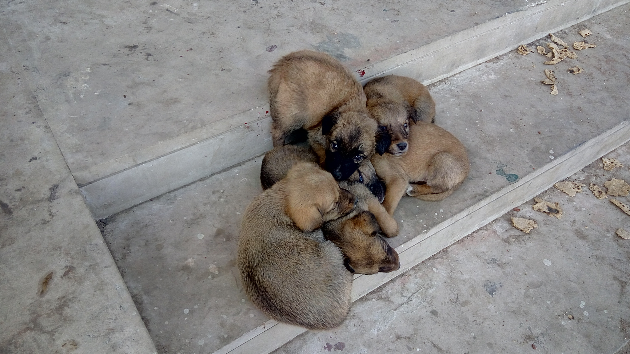 Lenovo VIBE X3 LITE sample photo