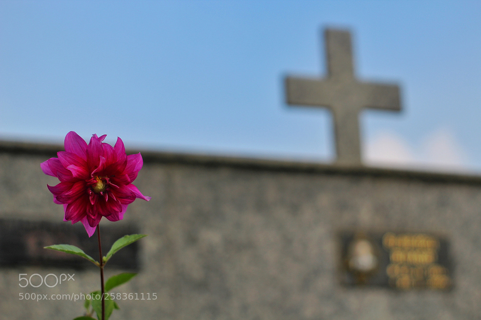 Canon EOS 1200D (EOS Rebel T5 / EOS Kiss X70 / EOS Hi) sample photo. There still live photography