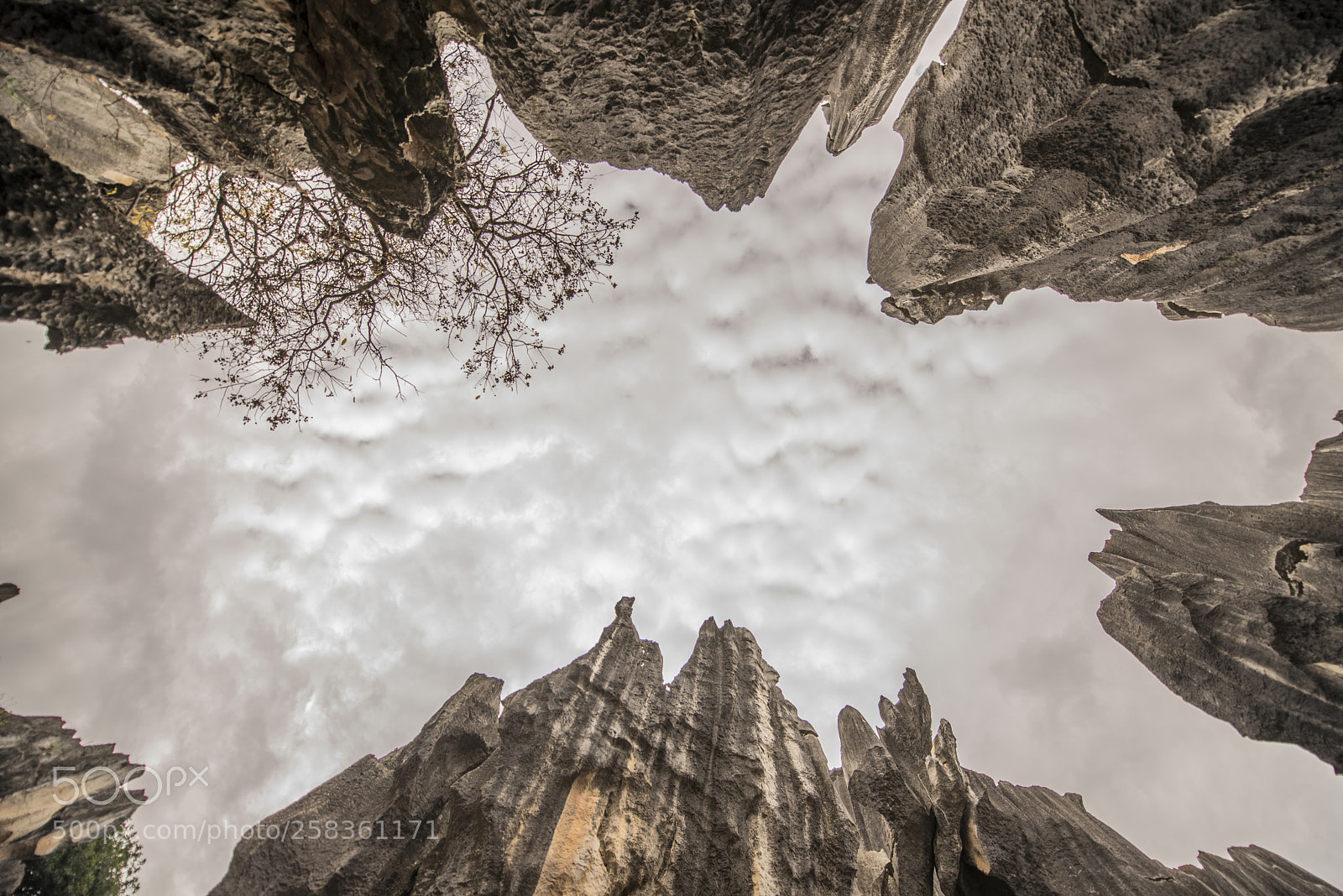 Nikon D600 sample photo. The stone forest photography