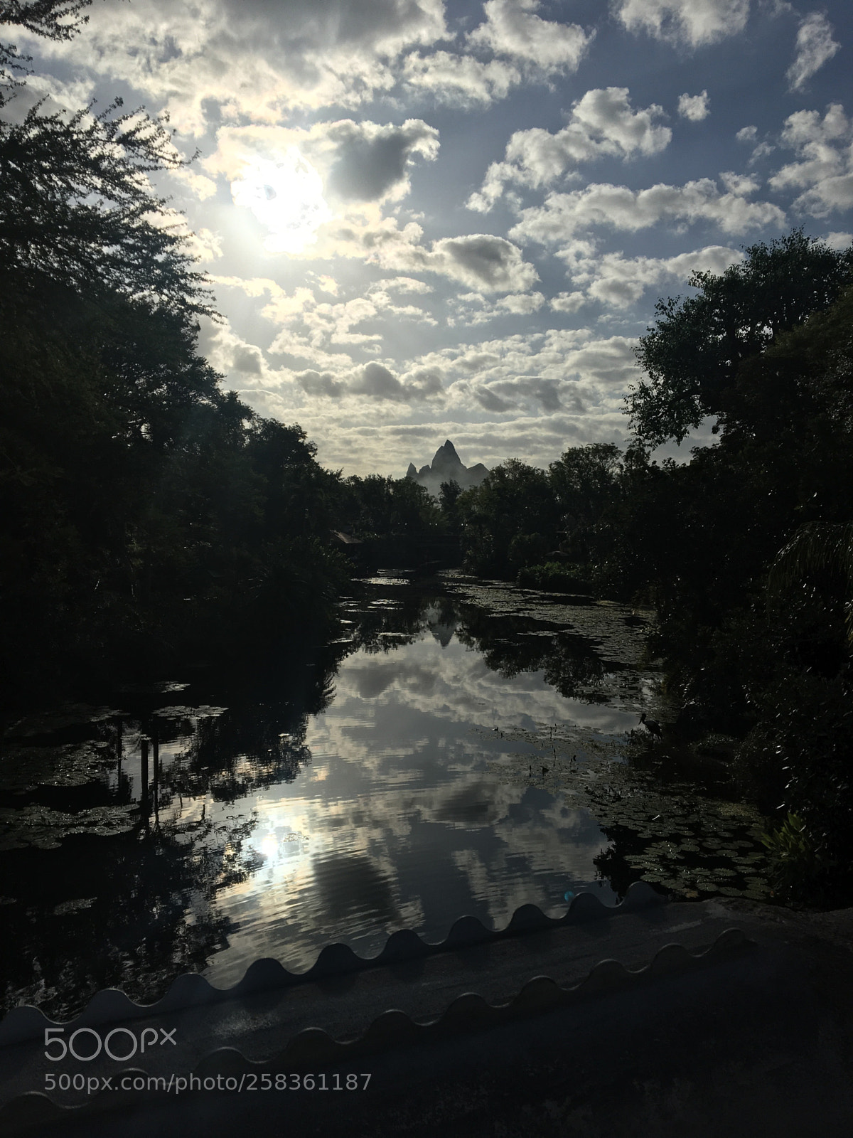 Apple iPhone 6s sample photo. Untitled photography