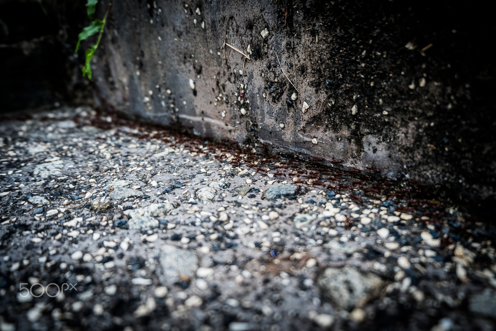 Fujifilm X-A10 sample photo. Stoneland photography