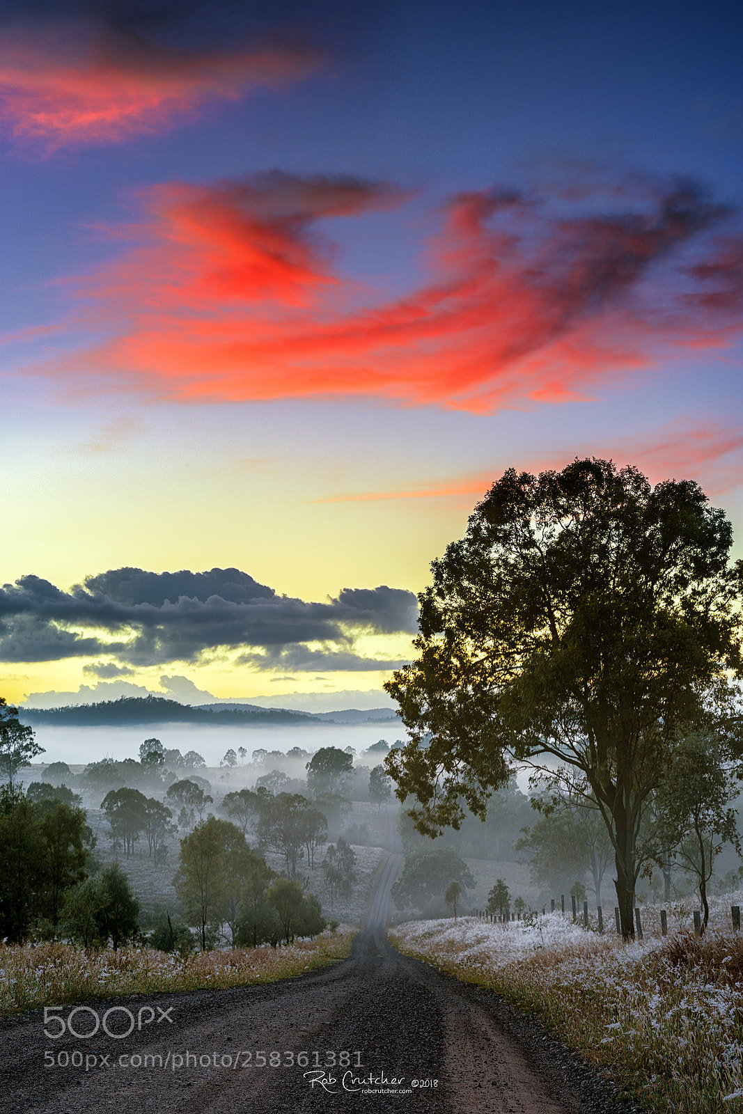 Nikon D810 sample photo. Harris rd sunrise foggy photography