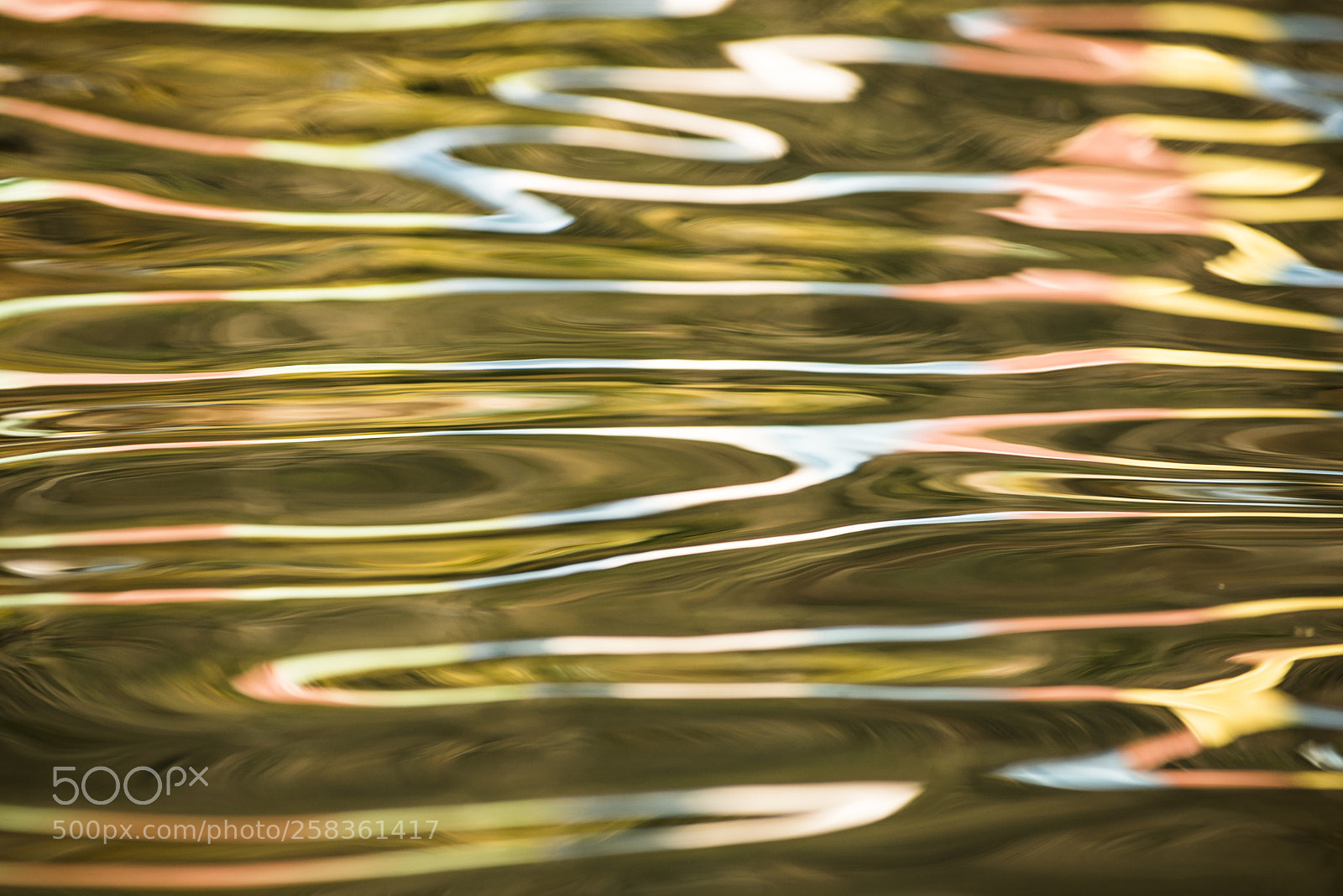 Nikon D600 sample photo. Dazzling reflections photography