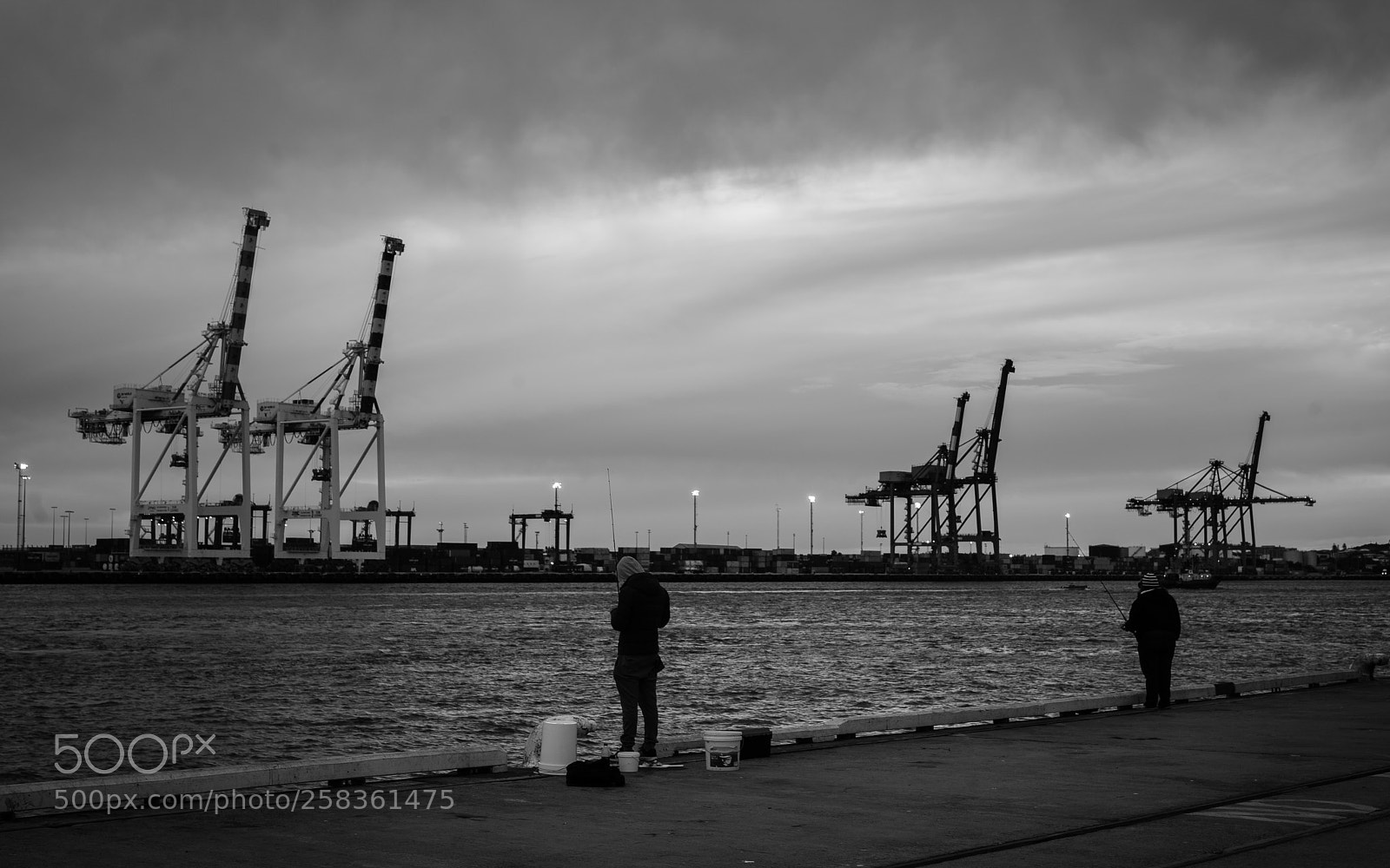Nikon D810 sample photo. Steel giraffes fremantle photography