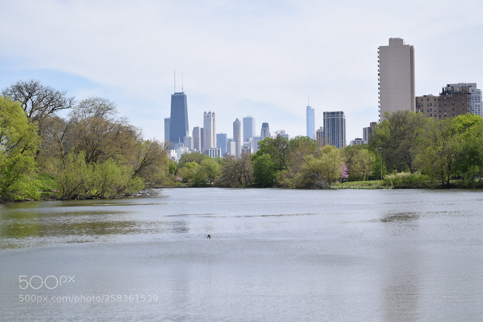 Nikon D3300 sample photo. Chicago skyline from nature photography