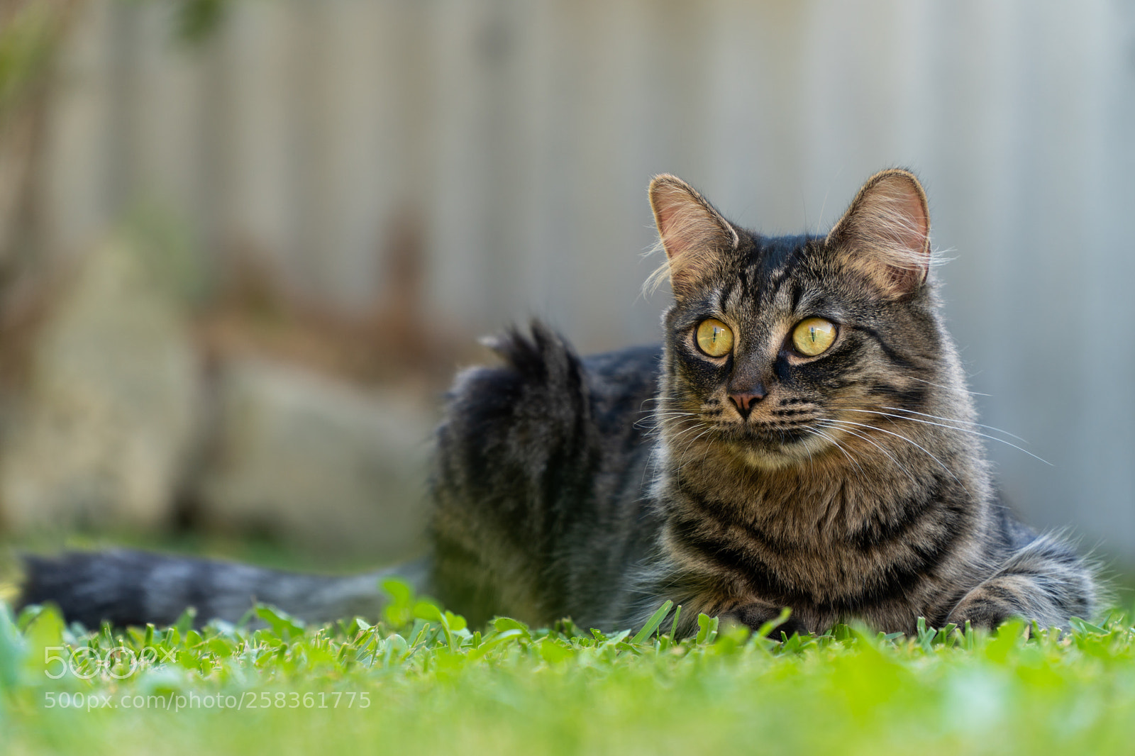 Sony a6300 sample photo. Maybe she's born with photography