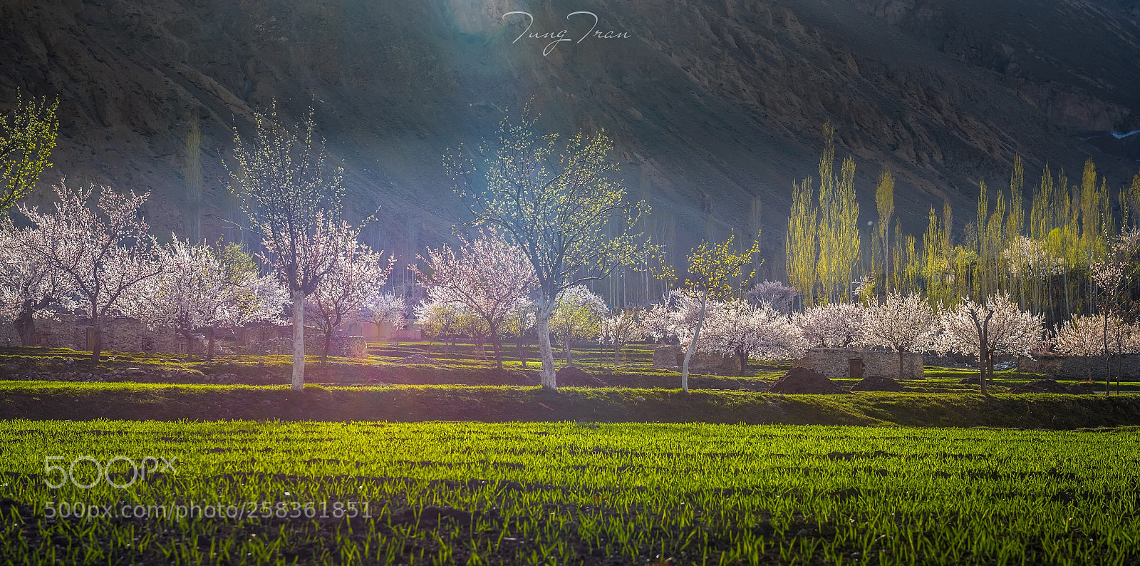 Nikon D750 sample photo. Magical lights photography