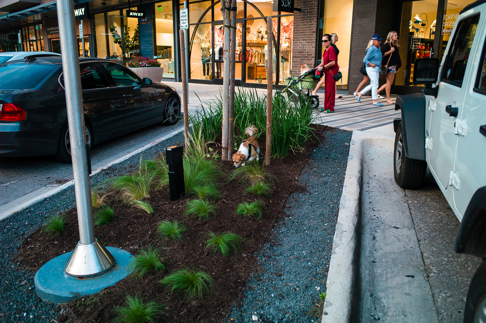 Leica M9 sample photo. Ambush photography