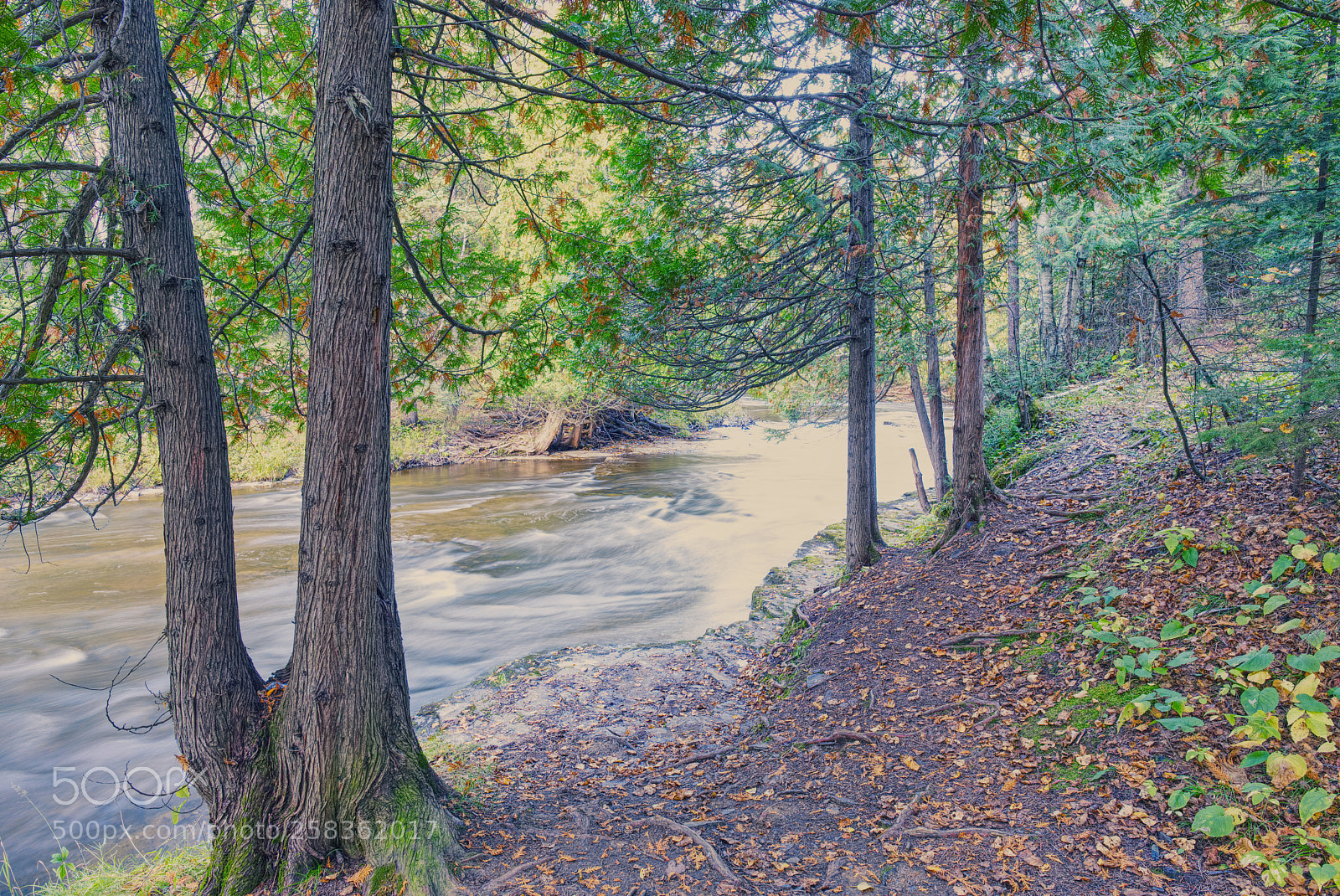 Fujifilm X-T2 sample photo. Mcintyre river photography