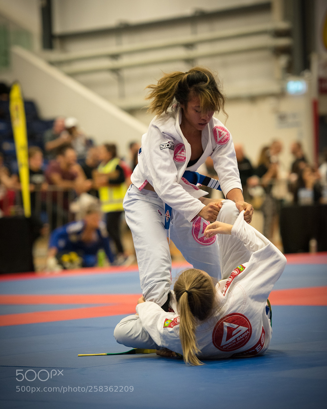 Nikon D810 sample photo. Blue belt jiu jitsu photography