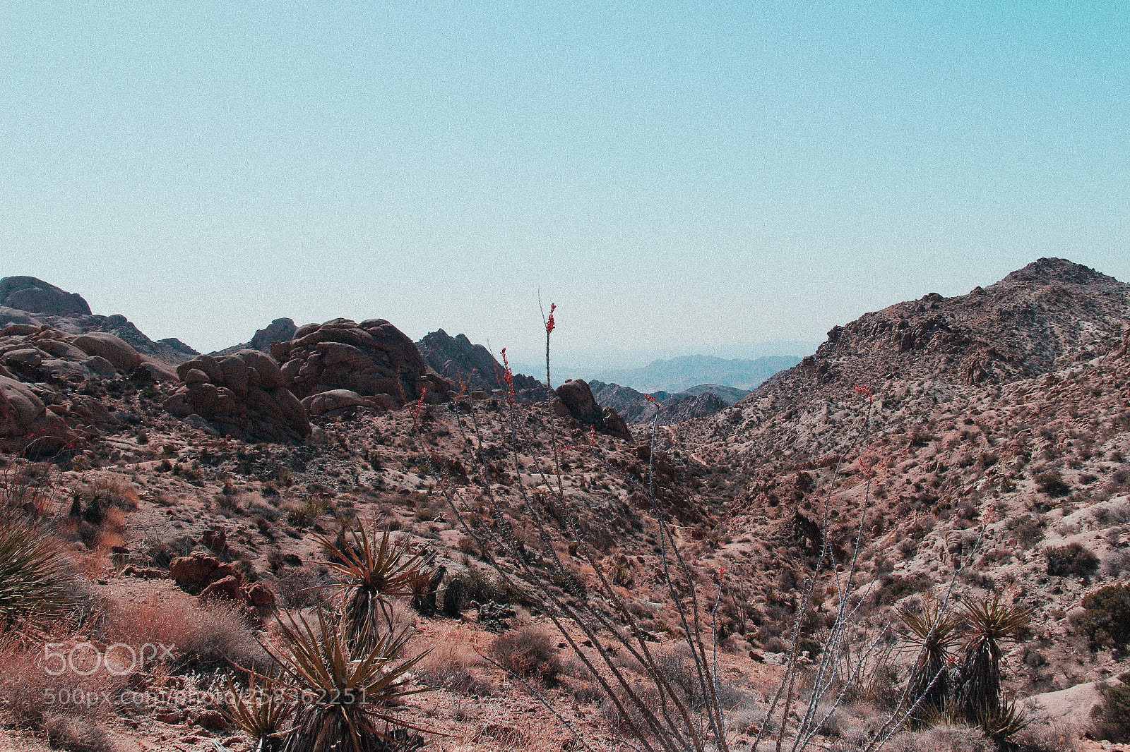 Canon EOS 650D (EOS Rebel T4i / EOS Kiss X6i) sample photo. Pink sands photography