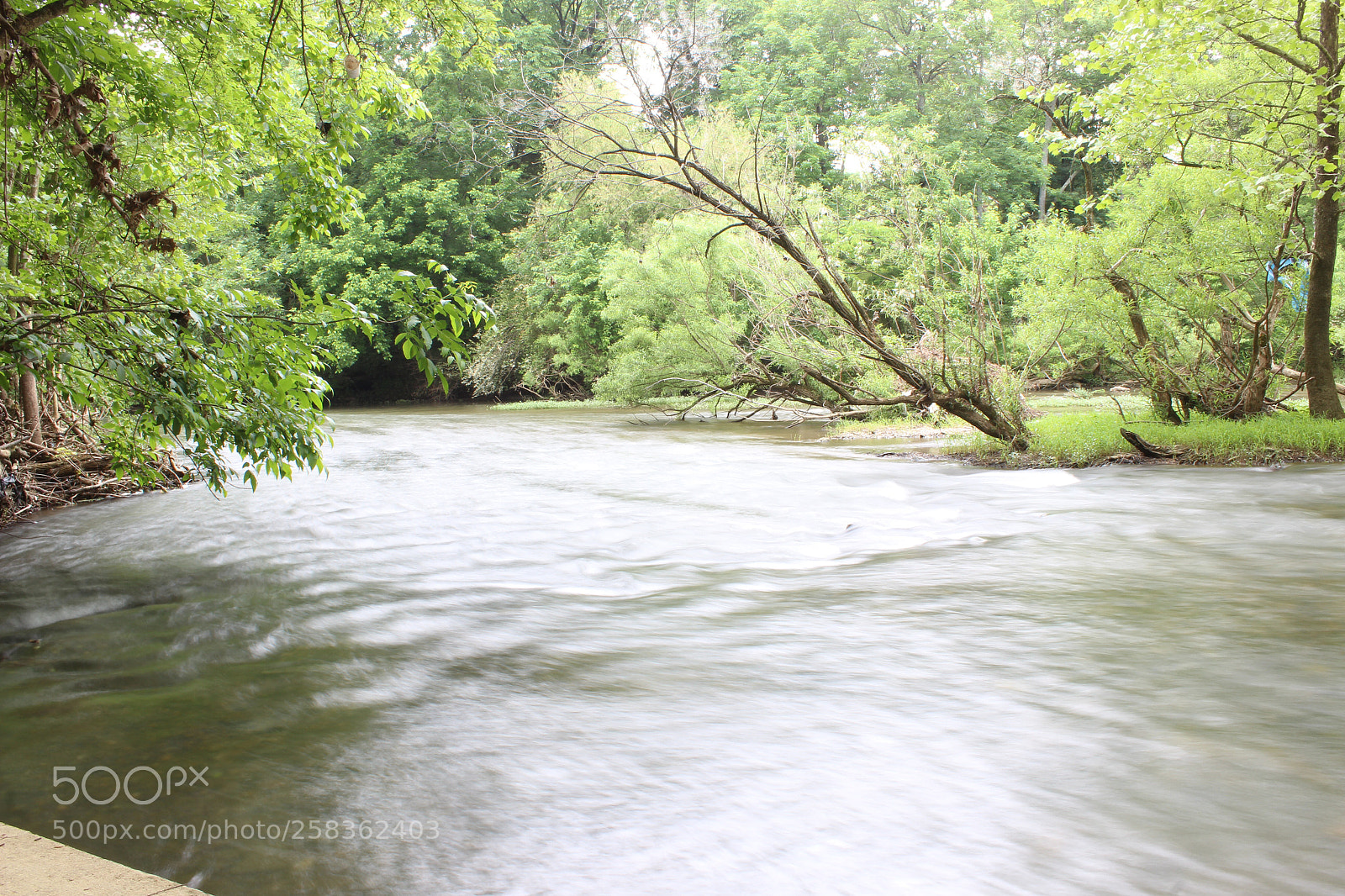 Canon EOS 600D (Rebel EOS T3i / EOS Kiss X5) sample photo. Tranquility  photography