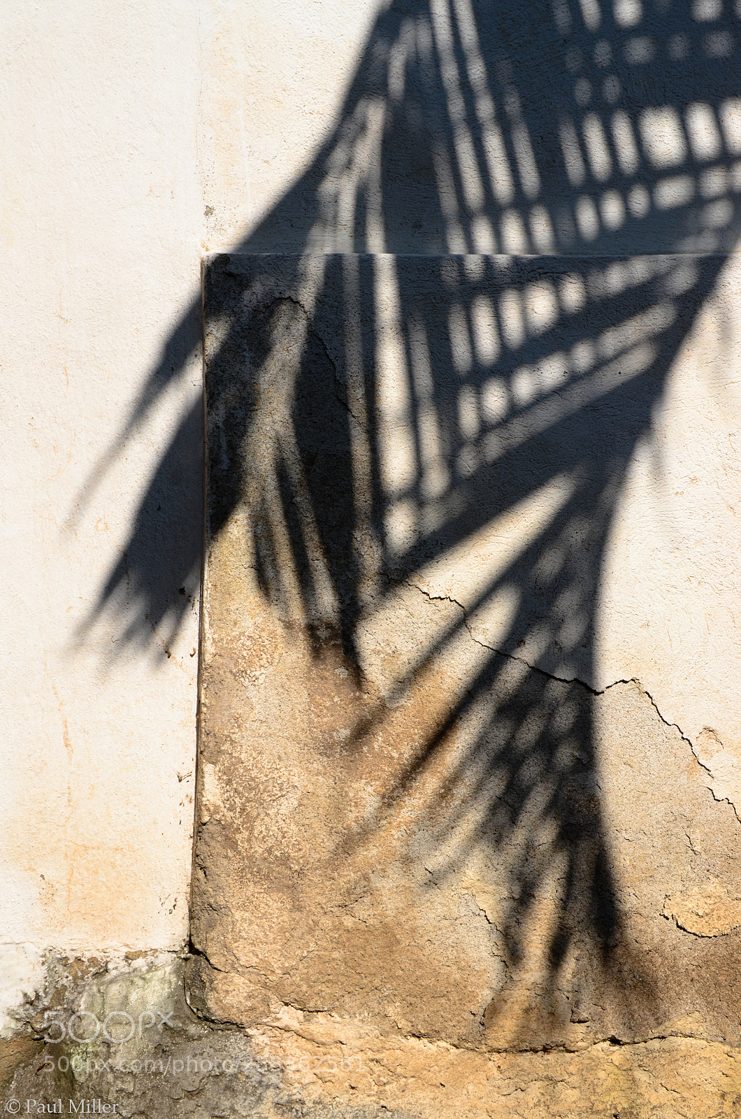 Nikon D7000 sample photo. Off kilter photography