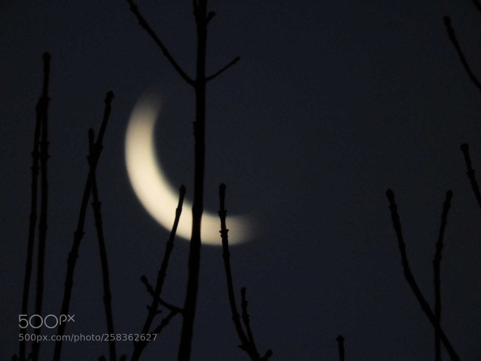 Nikon Coolpix B700 sample photo. Creciendo ? photography
