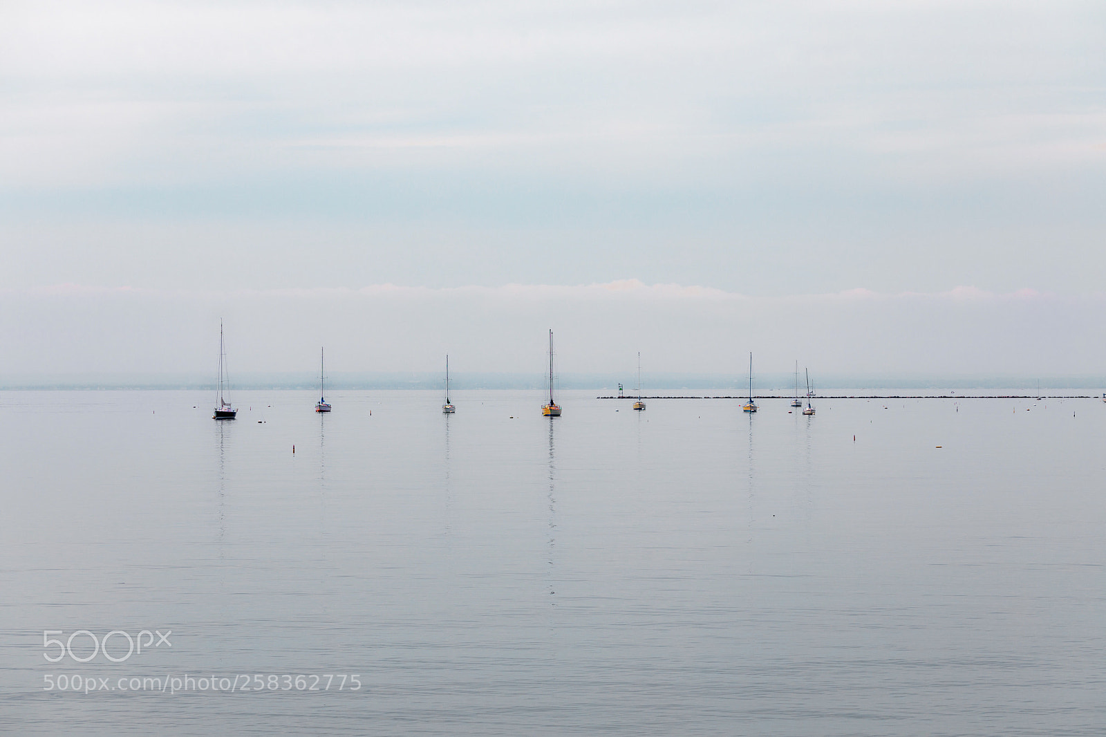 Canon EOS 5D Mark IV sample photo. Waiting photography
