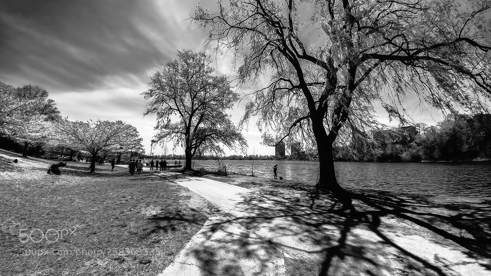 LG G5 sample photo. High park photography