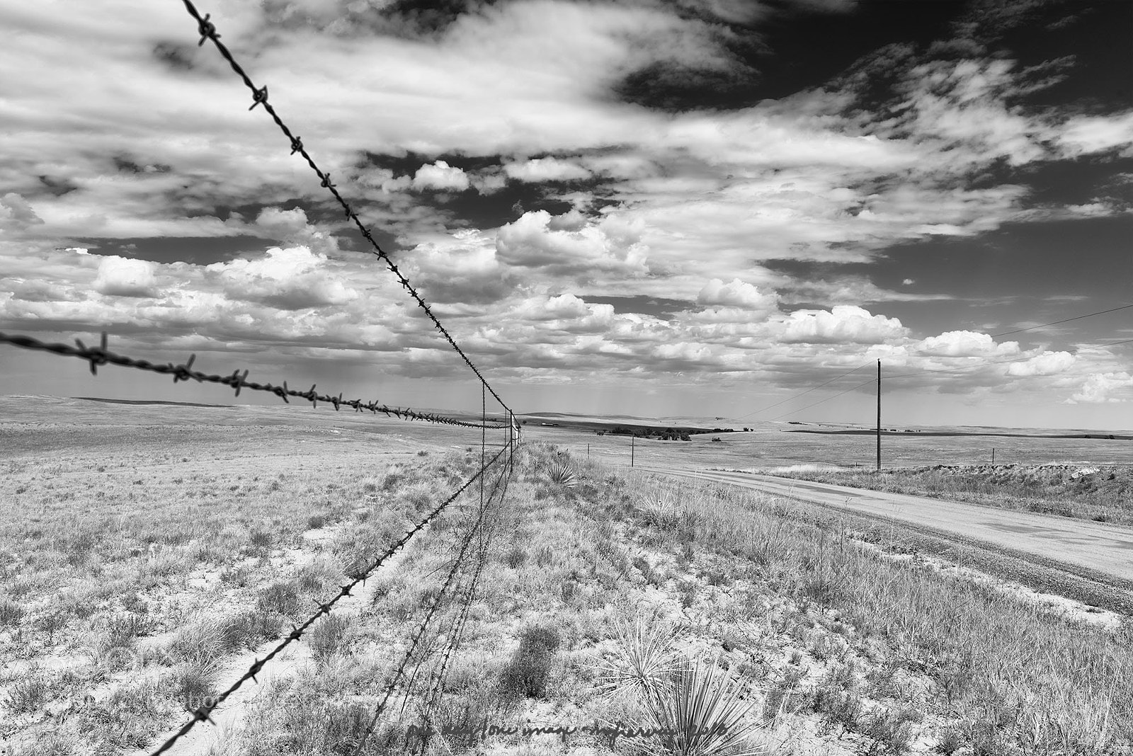 Nikon D810 sample photo. Fenceline photography