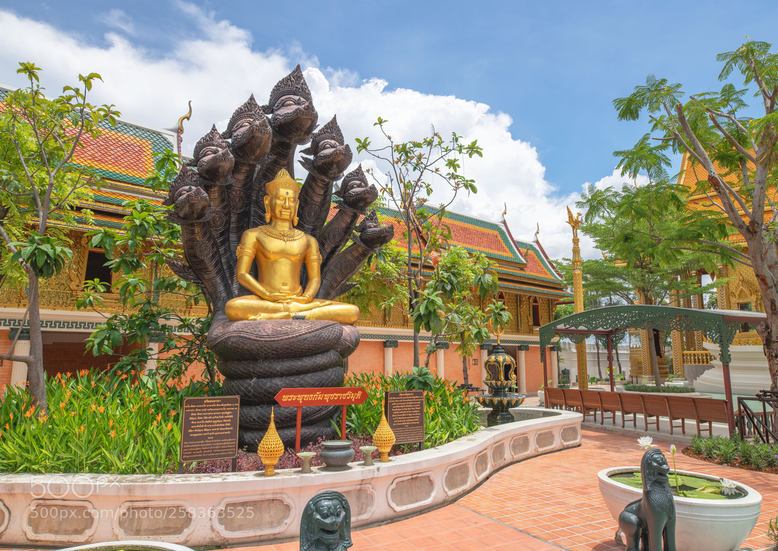 Nikon D850 sample photo. Bouddha aux sept nagas photography