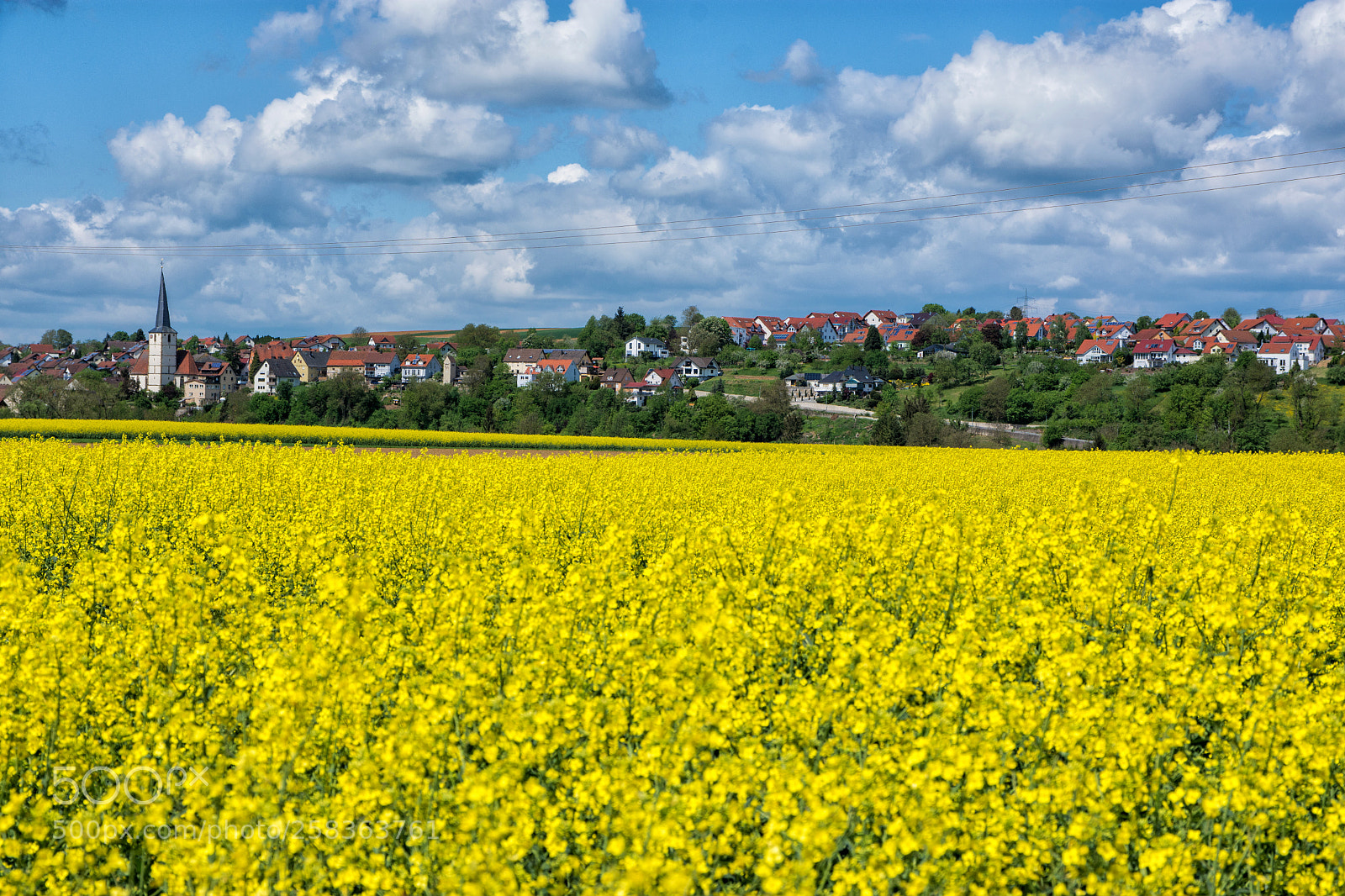 Nikon D7200 sample photo. Yellow fields in germany photography