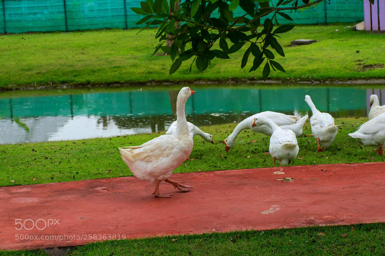 Nikon D5300 sample photo. I thing we should photography