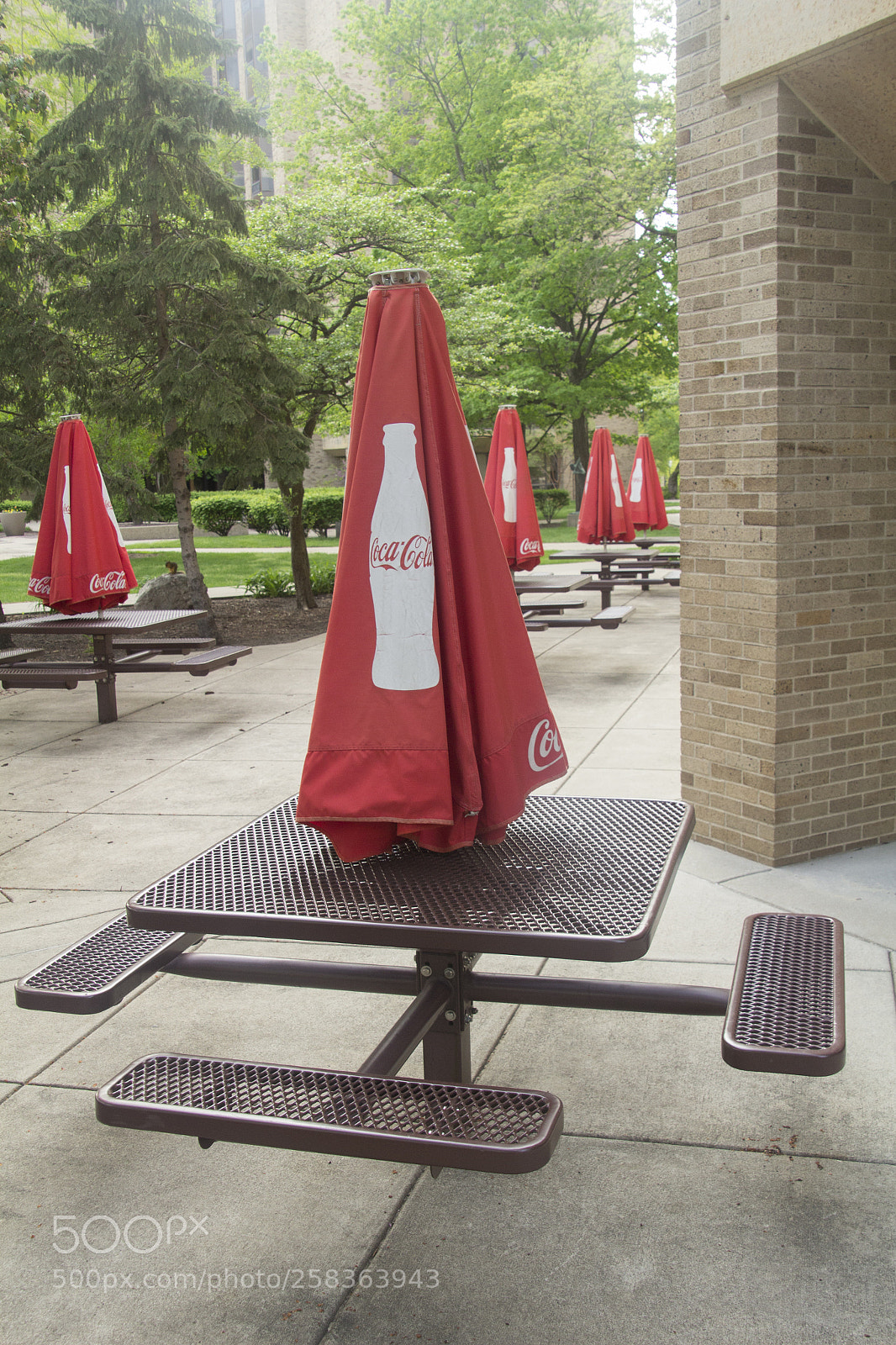 Canon EOS 1200D (EOS Rebel T5 / EOS Kiss X70 / EOS Hi) sample photo. Picnic tables on campus. photography