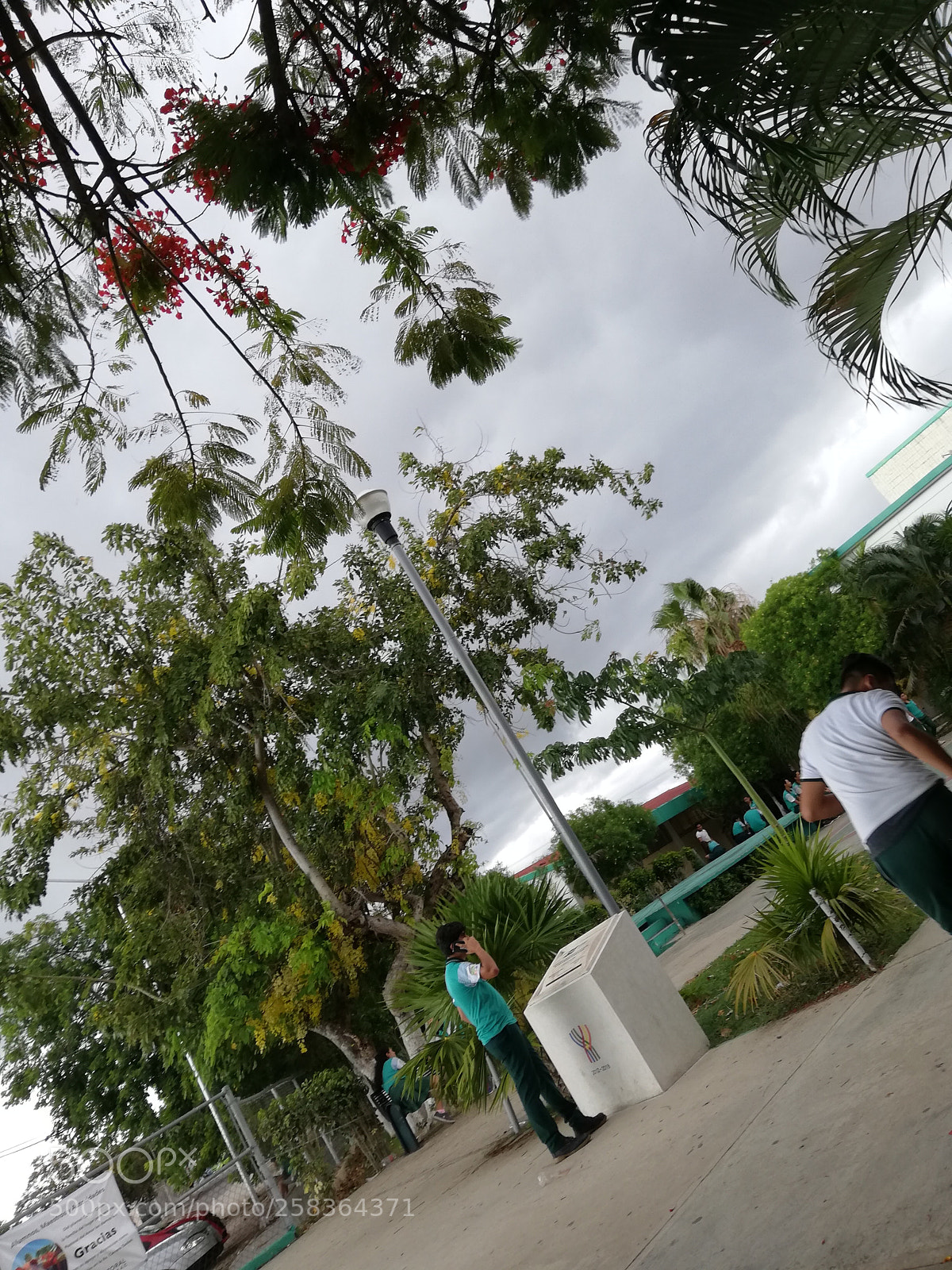 HUAWEI P20 lite sample photo. Untitled photography