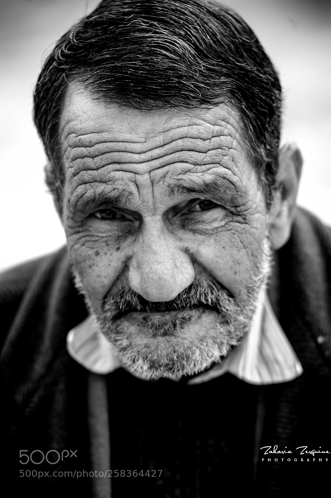 Nikon D700 sample photo. Untitled photography