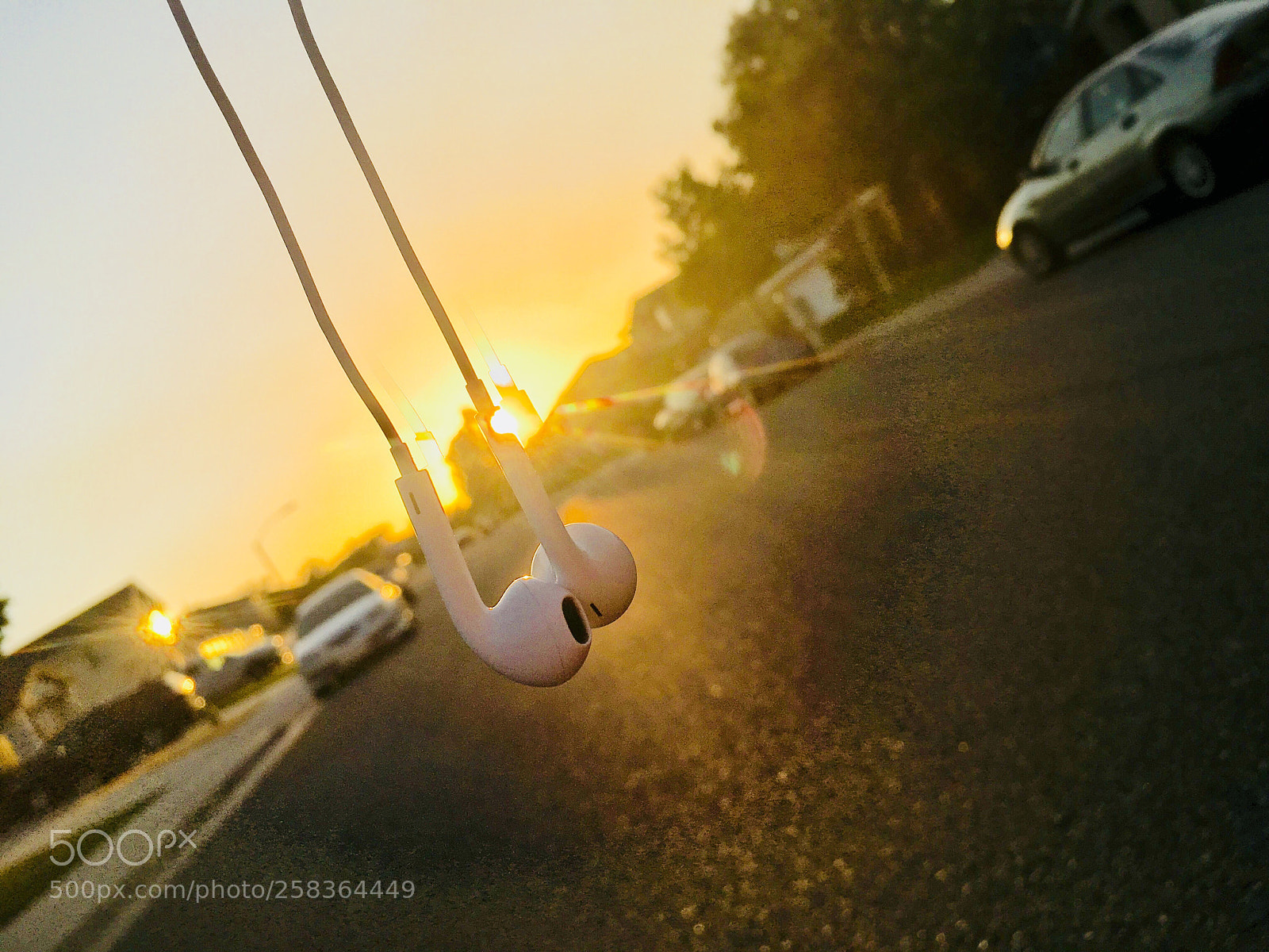 Apple iPhone 6s Plus sample photo. Untitled photography
