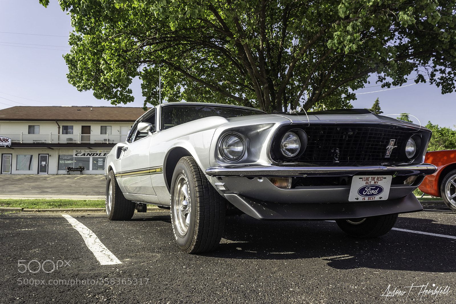 Canon EOS 600D (Rebel EOS T3i / EOS Kiss X5) sample photo. 1969 mustang mach 1 photography