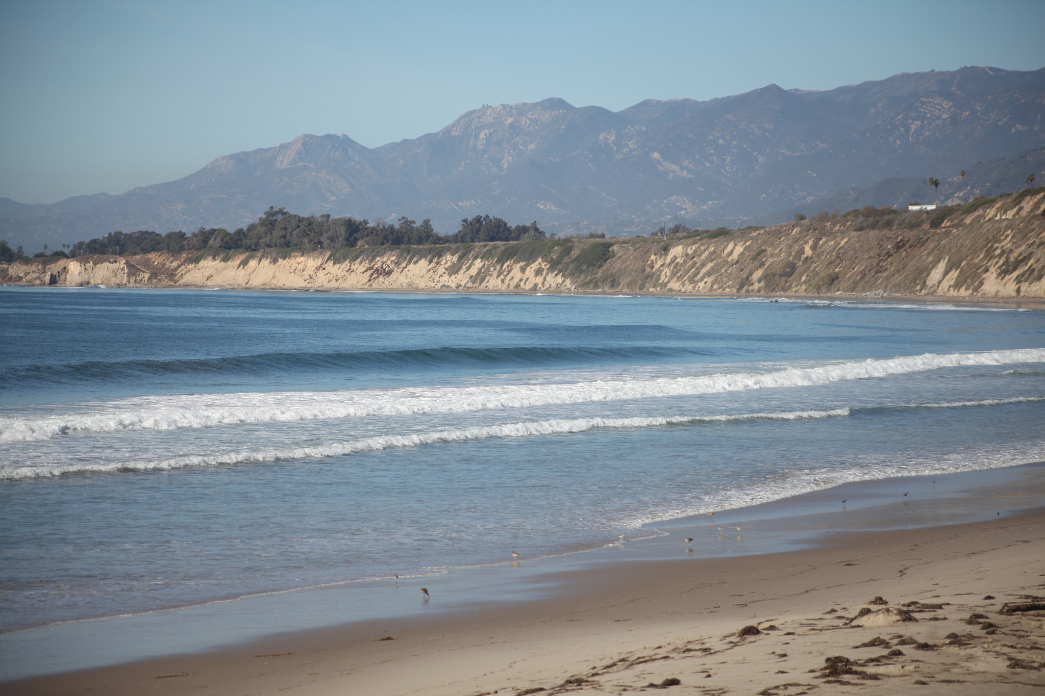 Canon EF 75-300mm f/4-5.6 sample photo. Img photography