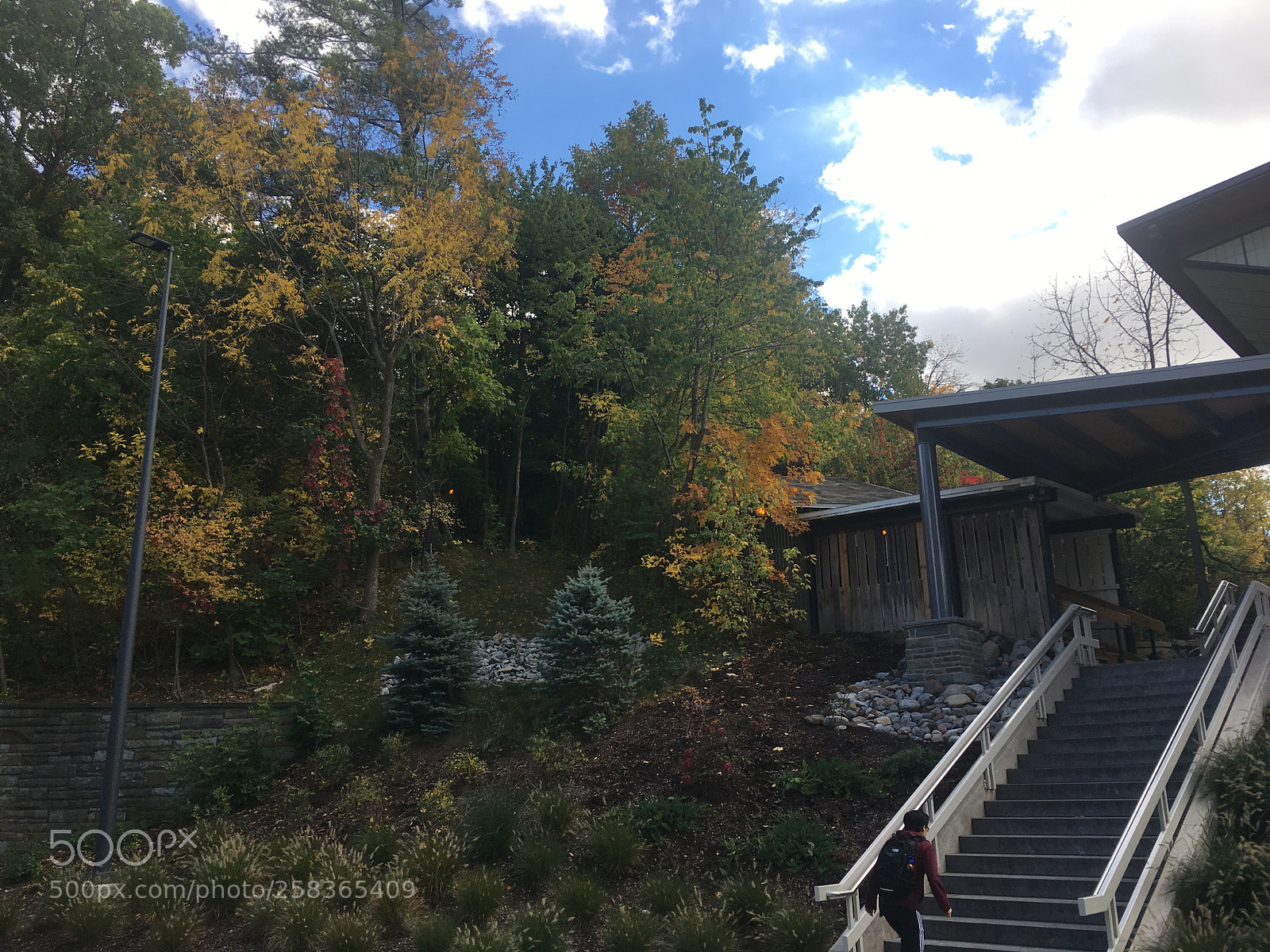Apple iPhone 6s sample photo. Img photography
