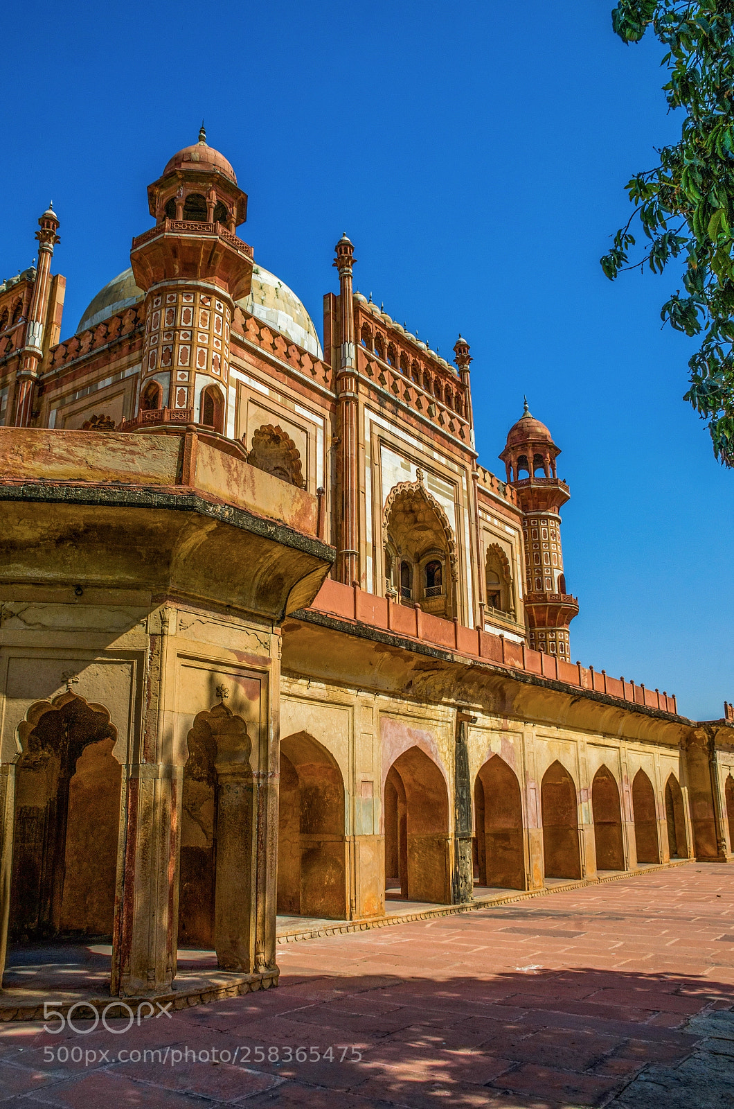 Nikon D7000 sample photo. Safdarjung photography