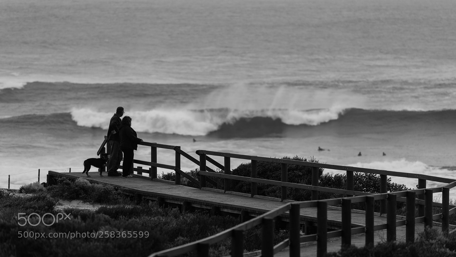 Nikon D810 sample photo. South point, gracetown photography