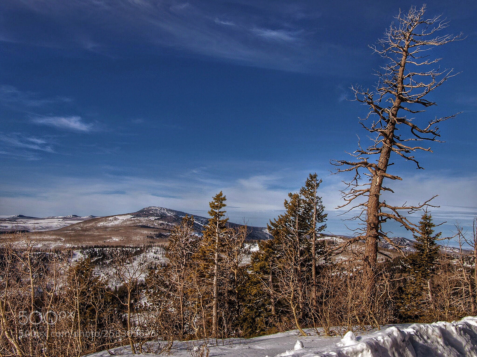 Olympus E-3 sample photo. High pass at winter photography