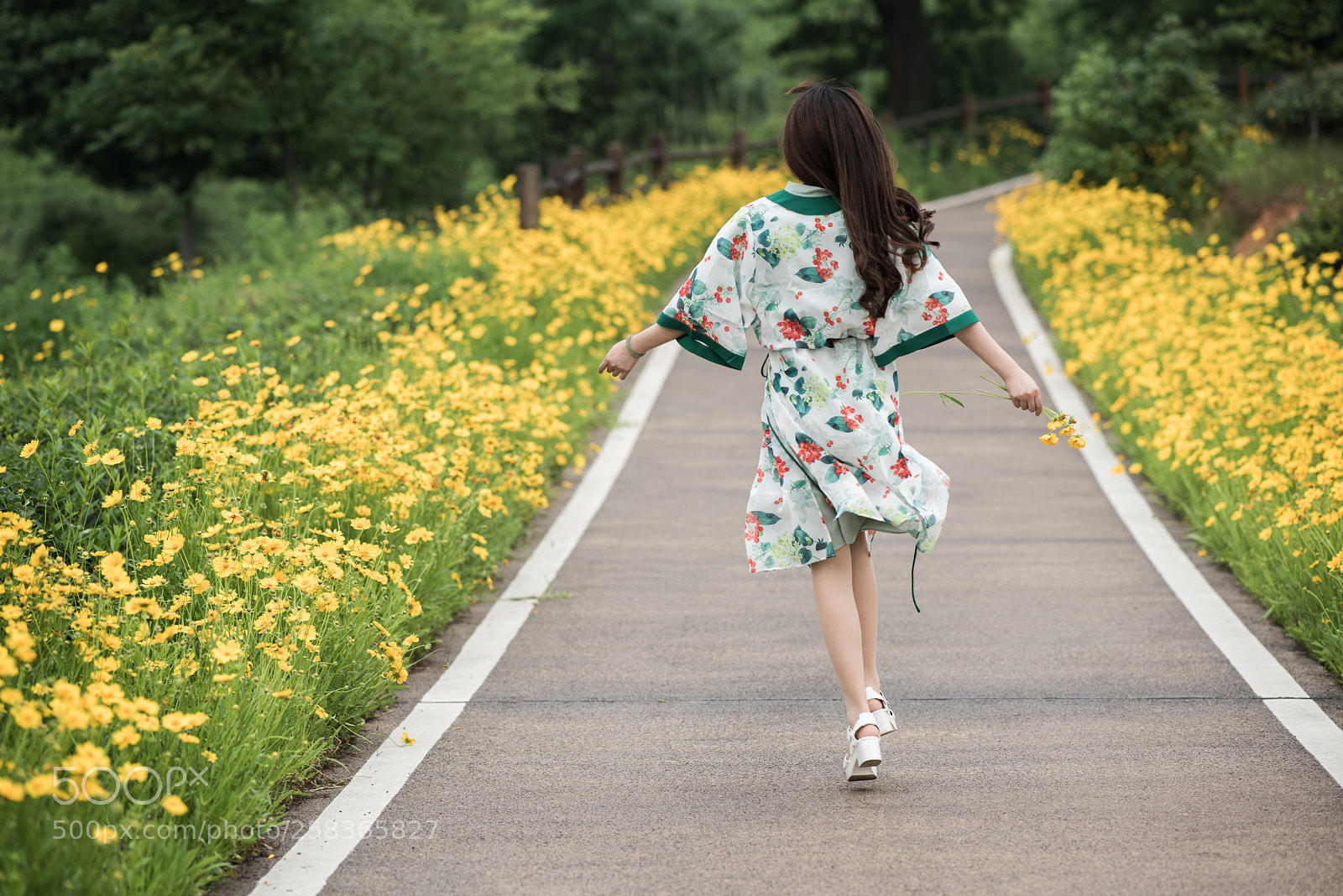 Nikon D810 sample photo. Untitled photography