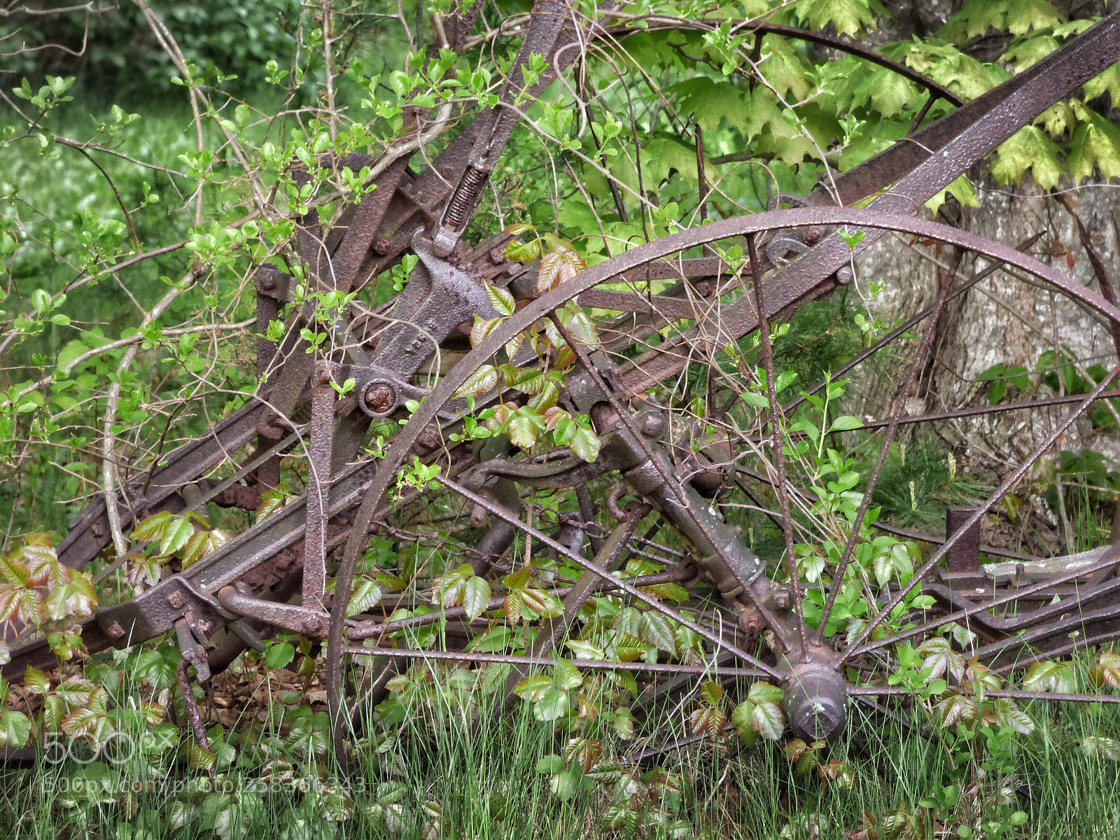 Panasonic Lumix DMC-FZ70 sample photo. Disbanded plow from a photography