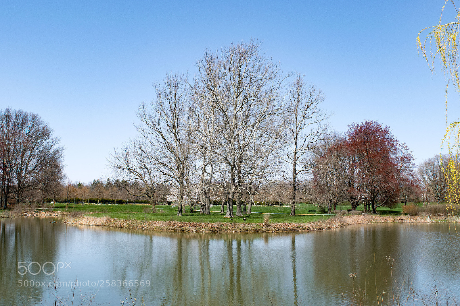 Nikon D3300 sample photo. Japan house lake photography