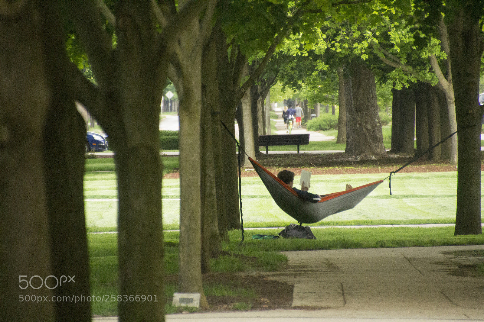 Canon EOS 1200D (EOS Rebel T5 / EOS Kiss X70 / EOS Hi) sample photo. Enjoying notre dame campus. photography