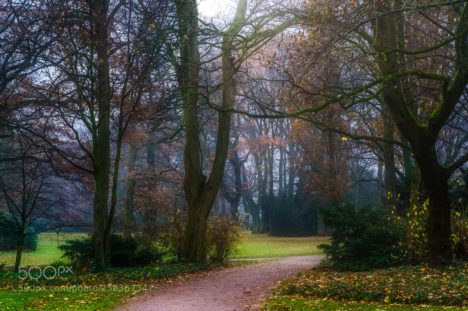 Sony a6000 sample photo. Autumn park photography