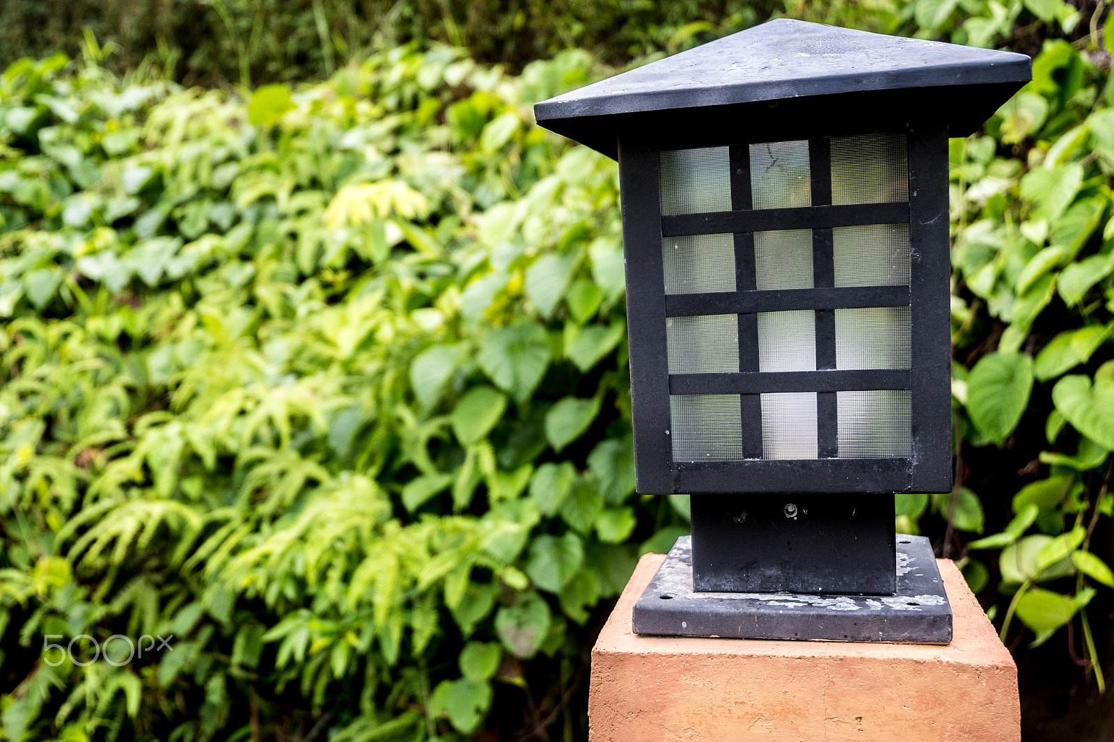 Fujifilm X-A10 sample photo. Morninglamp photography