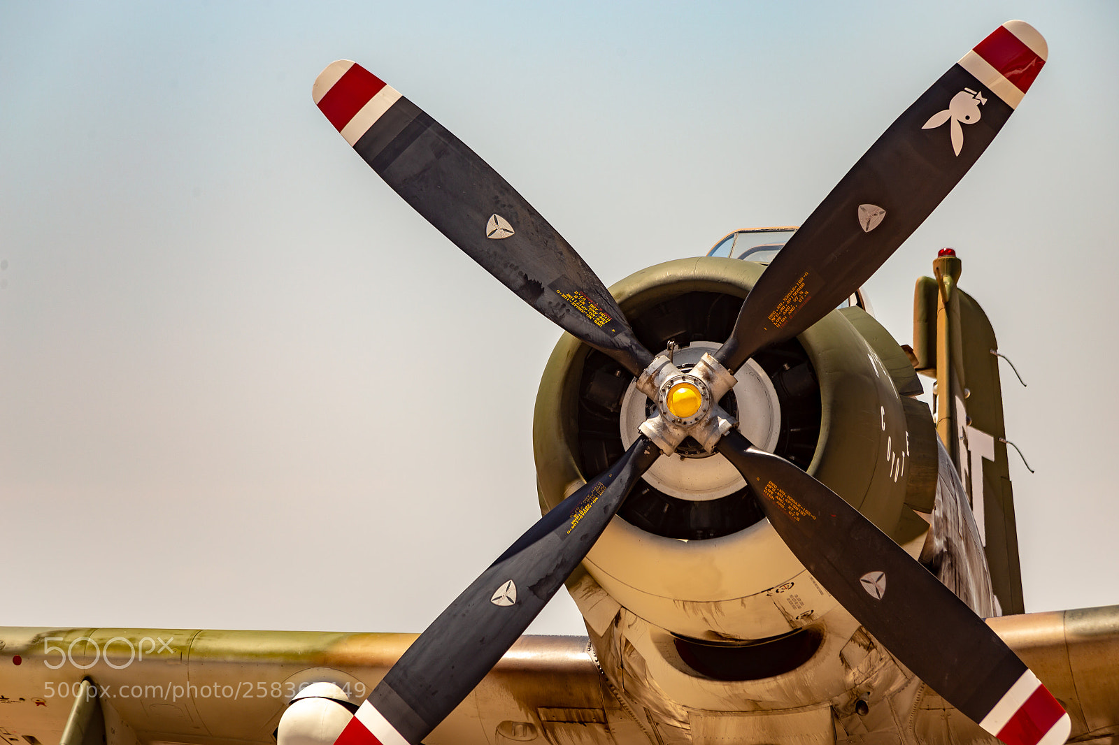 Canon EOS 6D sample photo. Skyraider close-up photography