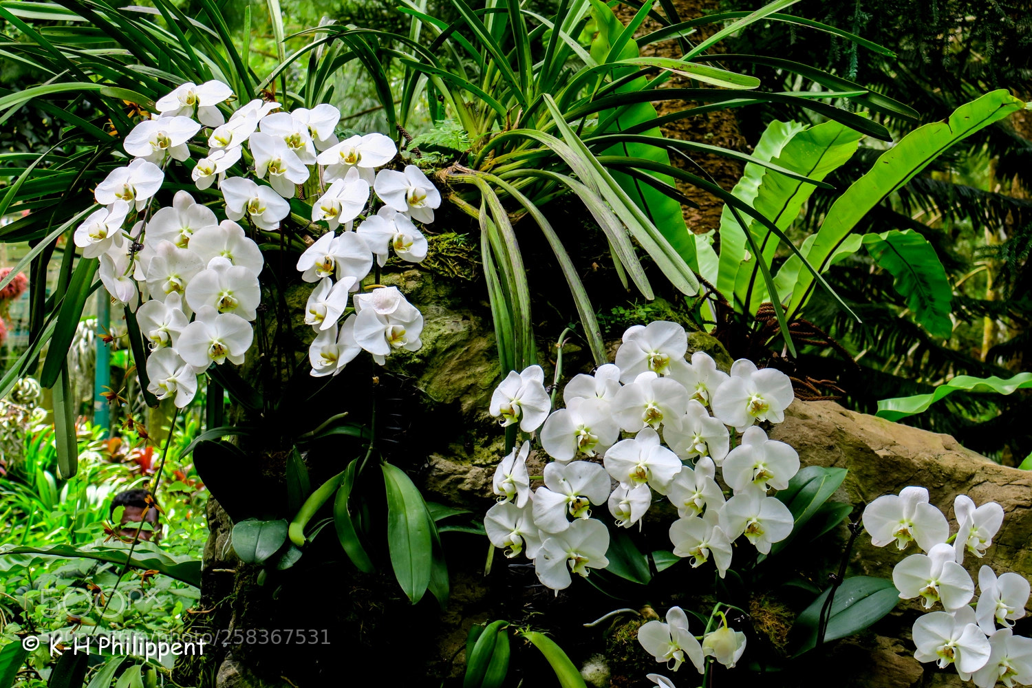 Canon PowerShot G3 X sample photo. Singapur republic of singapore photography