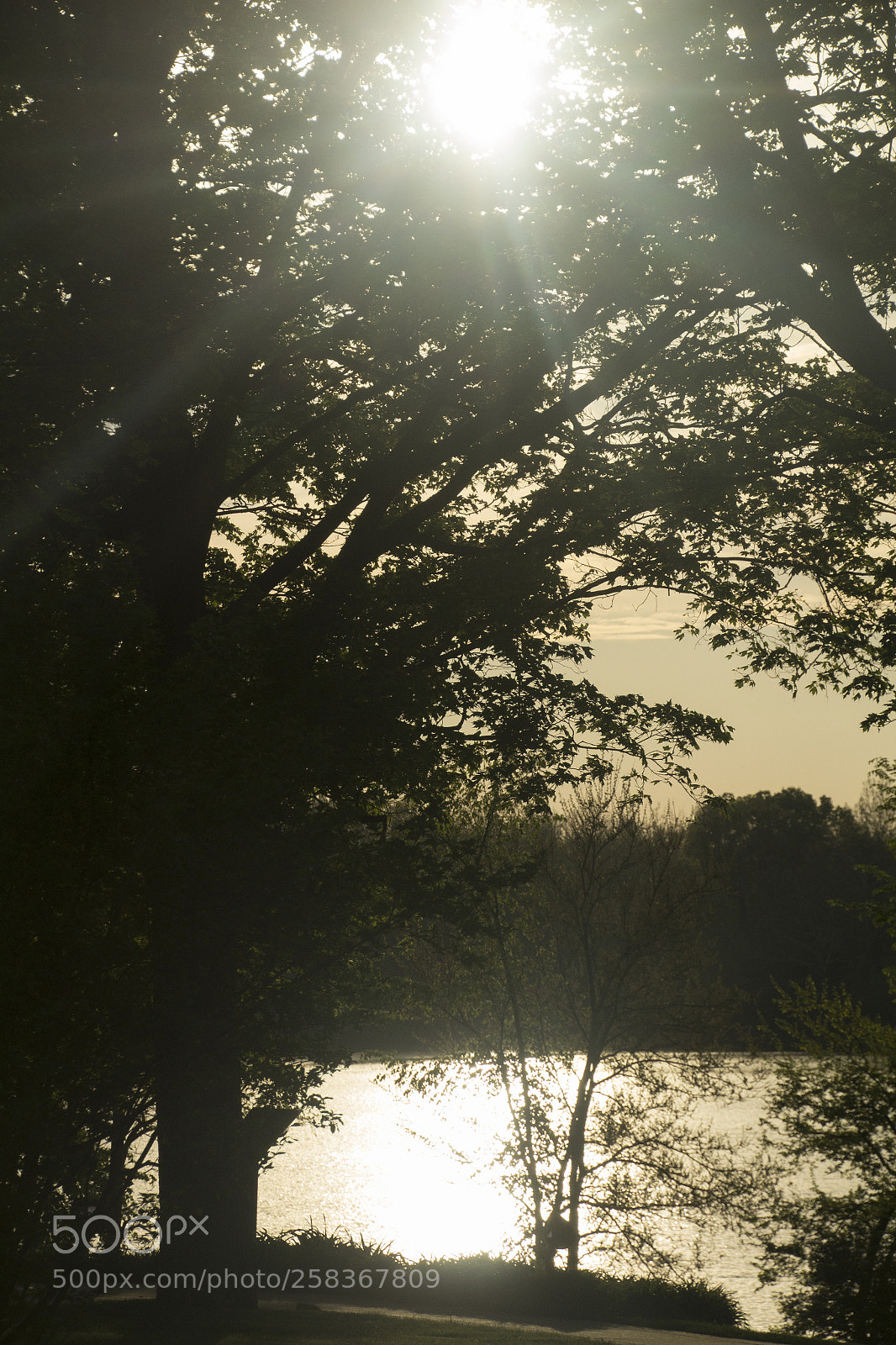 Canon EOS 1200D (EOS Rebel T5 / EOS Kiss X70 / EOS Hi) sample photo. Sunset, lake, and landscape. photography