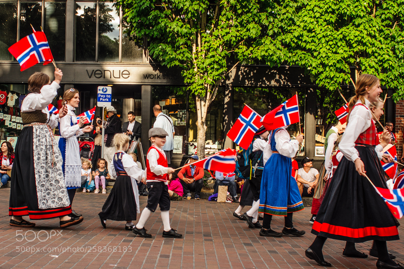 Sony SLT-A65 (SLT-A65V) sample photo. Happy norwegian day photography
